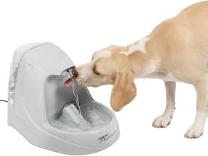 PetSafe Drinkwell Platinum Automatic Water Fountain