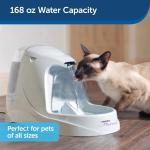 PetSafe Drinkwell Platinum Automatic Water Fountain