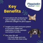 Flexadin Advanced Joint Support Soft Chews - 30 Count