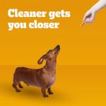Pedigree Dentastix Small Dog Treats with Chicken