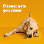 Pedigree Dentastix Large Dog Treats - Fresh Flavor