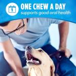 DentaLife Chewy Dental Treats for Dogs, Chicken Flavor