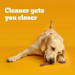 Pedigree Beef Flavor Large Dog Dental Treats