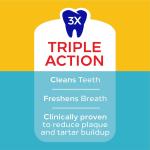 PEDIGREE DENTASTIX Large Beef Dog Dental Treats