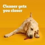 Pedigree Dentastix Mint & Bacon Dog Treats 40ct