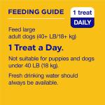 PEDIGREE DENTASTIX Large Beef Dog Dental Treats