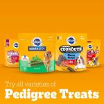 PEDIGREE DENTASTIX Large Dog Dental Treats