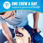 DentaLife Chicken Dental Chews for Large Dogs