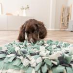 Trixie Snuffle Mat for Dogs - Interactive Puzzle