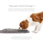 Forager Slow Feeder Dog Bowl & Snuffle Mat