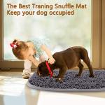 Interactive Snuffle Mat for Dogs - 17" x 21
