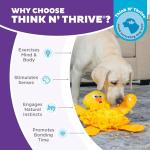 Outward Hound Snuffle Palz Plush Dog Puzzle Mat