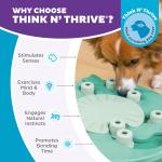 Nina Ottosson Dog Worker Puzzle Toy, Level 3 Green