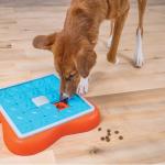 Outward Hound Challenge Slider Treat Puzzle Toy