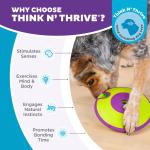 Nina Ottosson Dog Treat Maze Puzzle Toy