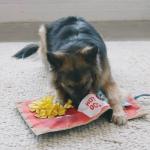 Nina Ottosson Fast Food Plush Dog Puzzle Mat