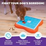 Outward Hound Challenge Slider Treat Puzzle Toy
