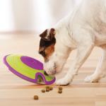 Nina Ottosson Dog Treat Maze Puzzle Toy