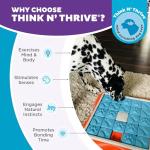 Outward Hound Challenge Slider Treat Puzzle Toy