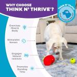 Outward Hound Fruity Findz Interactive Dog Puzzle