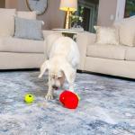 Outward Hound Fruity Findz Interactive Dog Puzzle