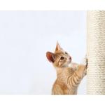 Trixie Replacement Sisal Scratching Post 15.7 in