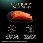 Sheba Perfect Portions Salmon Wet Cat Food Trays