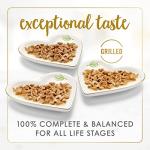 Purina Fancy Feast Seafood Variety Pack for Cats