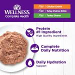 Wellness Complete Health Grain-Free Wet Cat Food