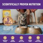 Wellness Complete Health Grain-Free Wet Cat Food