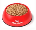 Royal Canin Pea & Rabbit Wet Cat Food