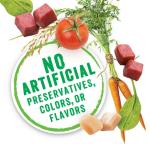 Purina Beneful Medleys Wet Dog Food 30 Cans