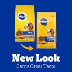 Pedigree Adult Dry Dog Food, Chicken & Veggies