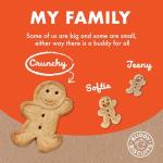 Buddy Biscuits Cloud Star, Peanut Butter, 16 Ounce