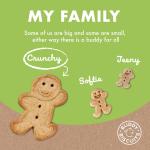 Buddy Biscuits Crunchy Chicken Dog Treats 3.5 lbs