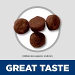 Hill's Science Diet Kitten Dry Cat Food 3.5 lb