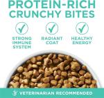 Purina ONE Sensitive Stomach & Skin Dry Cat Food