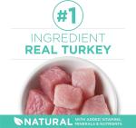 Purina ONE Sensitive Stomach & Skin Dry Cat Food