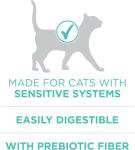 Purina ONE Sensitive Stomach & Skin Dry Cat Food