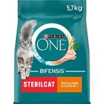 Purina One Bifensis Dry Food for Sterilized Cats
