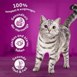 WHISKAS Dry Cat Food with Chicken, 7kg Bag
