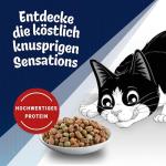 FELIX Countryside Sensations Dry Cat Food, Beef & Chicken