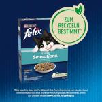 FELIX Seaside Sensations Dry Cat Food with Salmon