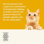 Applaws Grain-Free Chicken and Salmon Dry Cat Food