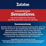 FELIX Countryside Sensations Dry Cat Food, Beef & Chicken