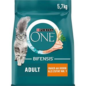 Purina One Bifensis Dry Cat Food with Chicken