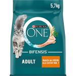 Purina One Bifensis Dry Cat Food with Chicken