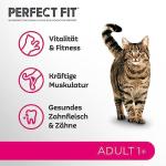 Perfect Fit Dry Food for Active Cats, Beef 7kg
