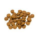 Lifelong Complete Dry Cat Food with Salmon & Rice