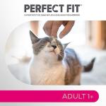 Perfect Fit Dry Food for Active Cats, Beef 7kg